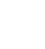 IRIS Quality System Certification